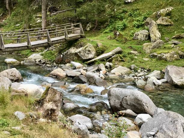 Switzerland - Canton of Ticino - Vallemaggia- landscape
