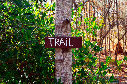 Brown, handwritten trail sign nailed to a tree on a hiking path through a forest full of autumn/fall foliage