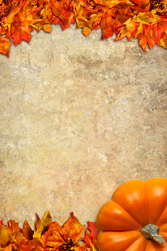 A thanksgiving background of autumn colored leaves and a small pumpkin on a beutifully textured background that provides ample room for copy and text.