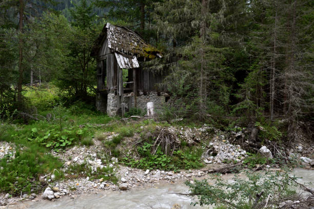 istock Ruins of construction in the woods 1426923145