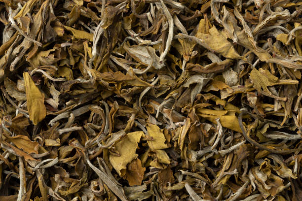 istock Dried Chinese Snow Buds tea leaves close up full frame 1426931522