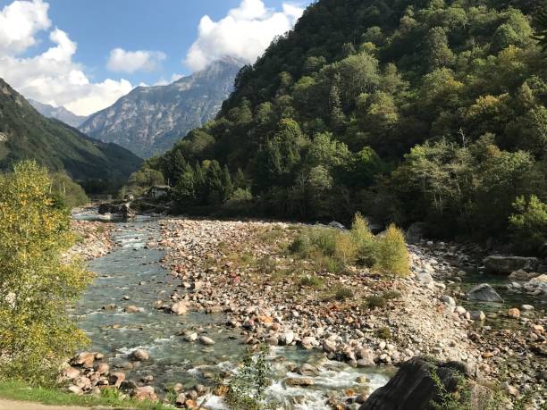 Pebble riverbank near a clear mountain stream with fresh water and lush green surroundings.