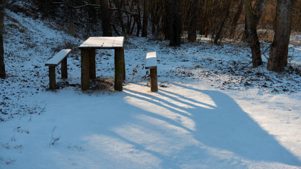 Danish nature in wintertime - dressed in frost and snow