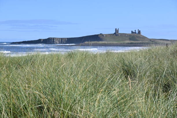 istock Embleton Bay, Northumberland 1426945299