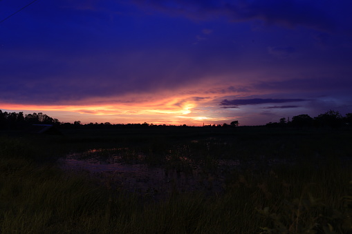 Dramatic sky at dusk with few bushes in silhouette