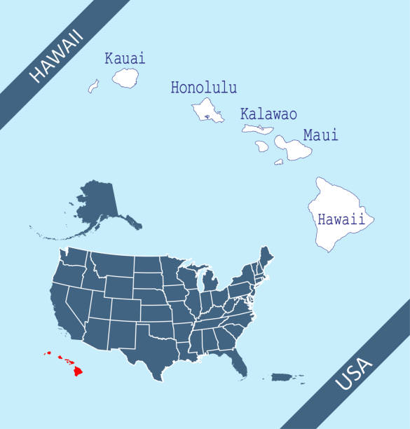 County map of Hawaii Highly detailed labeled map of Hawaii counties state of United States of America for book cover, brochure and web banner designs, iPhone, iPad, tablet, smart phone, mobile app and educational use. kihei stock illustrations