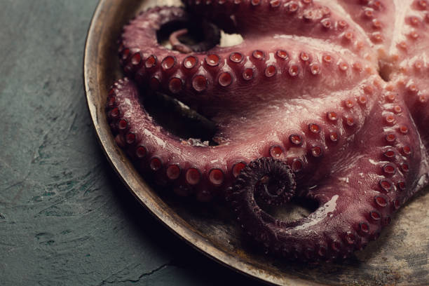 istock Boiled octopus, close-up, rustic style, no people, top view, close-up, 1426947532