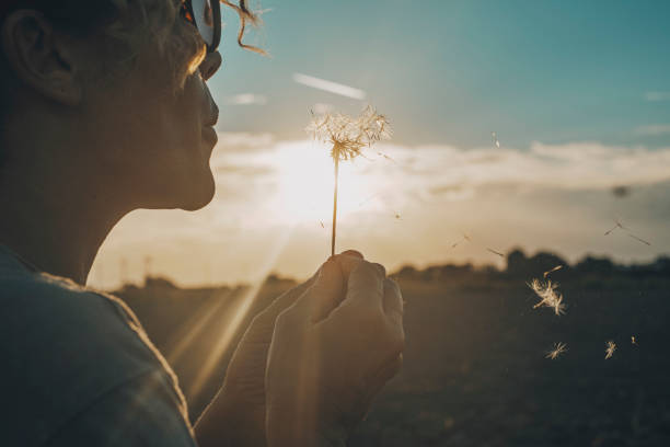 Day dreaming leisure activity with woman blowing a dandelion outdoor in the nature park. Emotion and love lifestyle people concept. Freedom and travel dreams. Sky and sunset in background stock photo