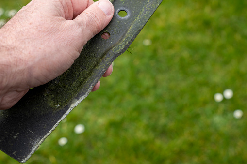 A Rotary lawn mower blade being held by a senior man and showing the blunt damaged leading edge of the blade.