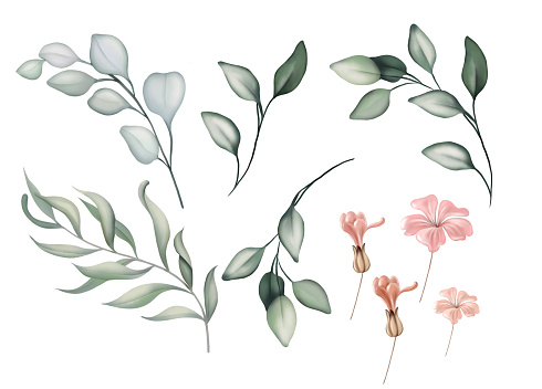 Ilustración de Elegante Conjunto Con Hojas De Eucalipto Y Flores y más Vectores Libres de Derechos de Abstracto - Abstracto, Amor, Belleza - iStock Ilustración de Elegante Conjunto Con Hojas De Eucalipto Y Flores y más Vectores Libres de Derechos de Abstracto - Abstracto, Amor, Belleza - iStock