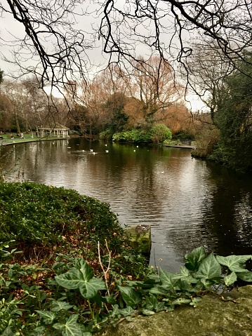 Beauty of St Stephen’s Green lake in Winter, a public park in Dublin, Ireland. Lake with a gazebo, ducks & birds, green foliage & bare winter trees.