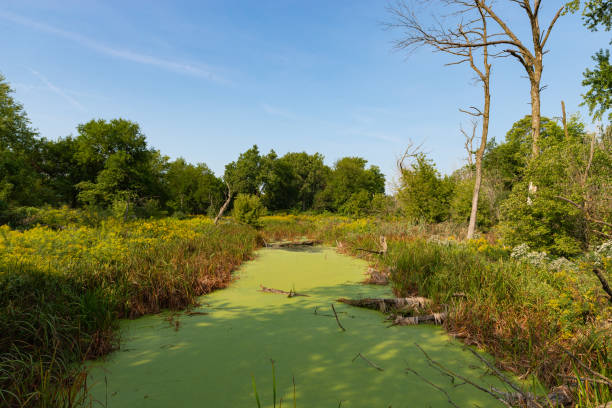 istock Chicago Portage landscape. 1426961585