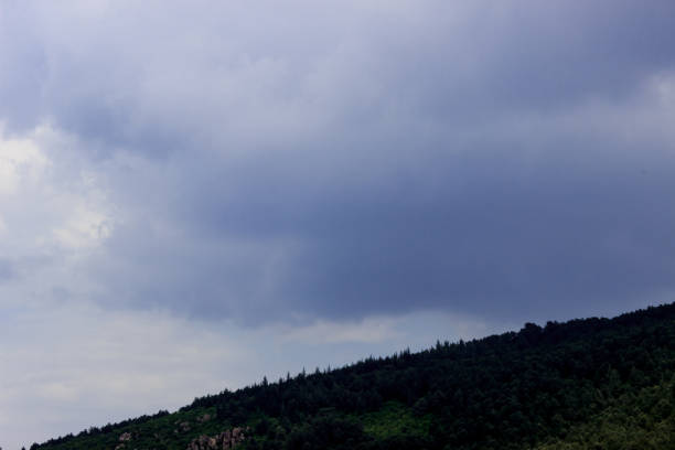 Green forest hillside on mountain and dark blue cloudy sky landscape