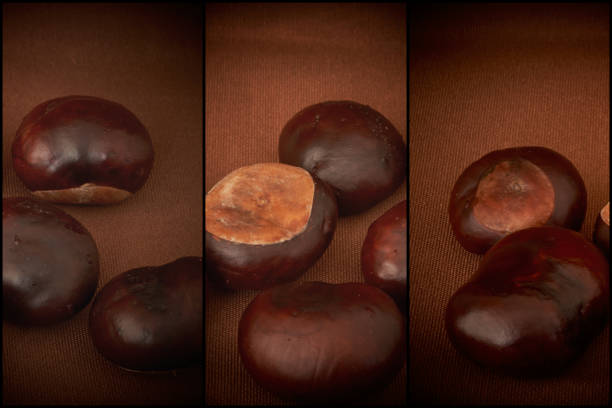 Overhead shot of scattered brown chestnuts over a table surface, providing a rustic and earthy vibe suitable for themes of fall harvest or natural textures.