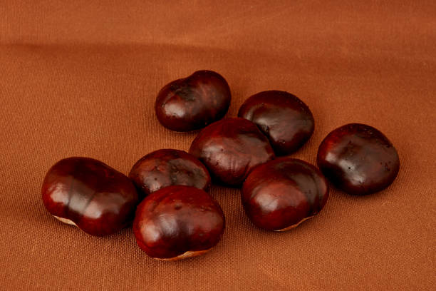 chestnut fruits lie on a black background