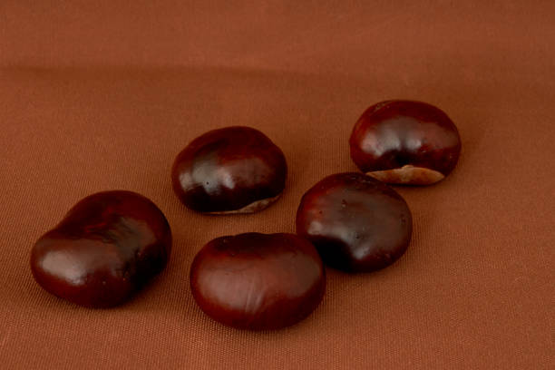 Chestnuts for sale
