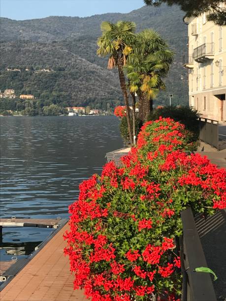 istock Swiss - canton Ticino - Morcote village 1426982214
