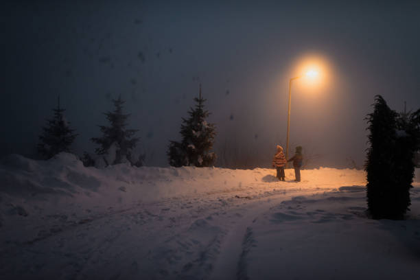 Winter portrait of a beautiful little boy and girl looking away at the mountain. They are having night walk.