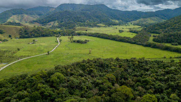 Rural area destined for restoration of native forest in the municipality of Casimiro de Abreu, Rio de Janeiro. Forest restoration is necessary to ensure the existence of fauna and flora in the Atlantic Forest. stock photo