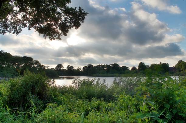 istock Beautiful landscape at a lake with a reflective water surface 1427014604