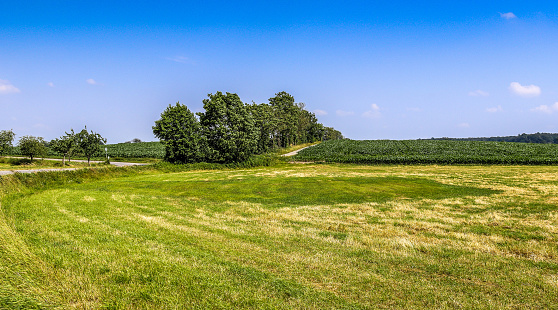 View of an agriculturally used field with green grass