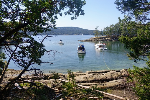 Boats anchored in a small cove using their stern line to secure anchorage, in Conovers Cove, on Wallace Island, on a beautiful summer day in the gulf islands, British Columbia, Canada