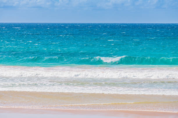 días de primavera en la playa - parque nacional murramarang fotografías e imágenes de stock