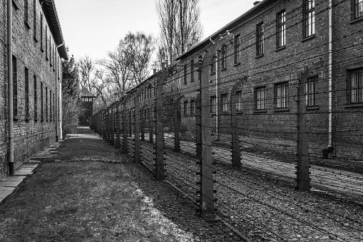 Auschwitz, Poland - November 15, 2019: Barbed wire fence at the Auschwitz concentration camp, the biggest extermination camp in Europe built by Nazi.