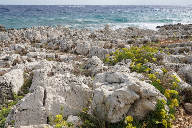 istock White Rocks at Cap d'Antibes. French Riviera 1427030623