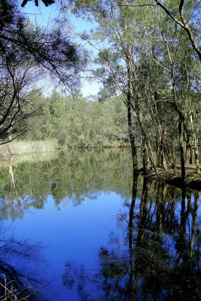 istock Manning Point, NSW, Australia 1427031644