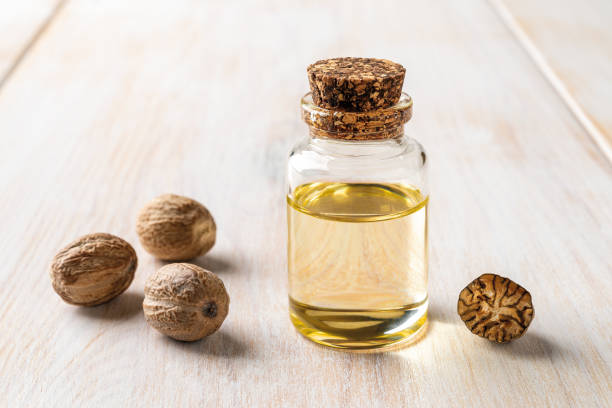 Glass jar of nutmeg essential oil closeup. Nutmeg fragrant oil and seeds in a small bottle over white wooden background. Myristica fragrans tree fruit for Ayurveda and herbal medicine. Glass jar of nutmeg essential oil closeup. Nutmeg fragrant oil and seeds in a small bottle over white wooden background. Myristica fragrans tree fruit for Ayurveda and herbal medicine. Front view. Nutmeg stock pictures, royalty-free photos & images