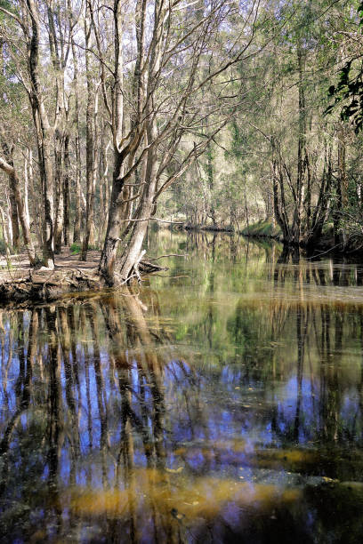 istock Manning Point, NSW, Australia 1427031909