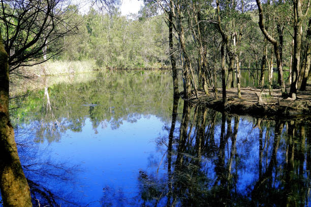 istock Manning Point, NSW, Australia 1427031910