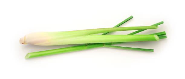 istock Fresh lemongrass plant with leaf isolated on white background. 1427058187