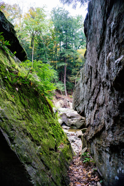 istock Lush Verdant Gorge Trail 1427066350