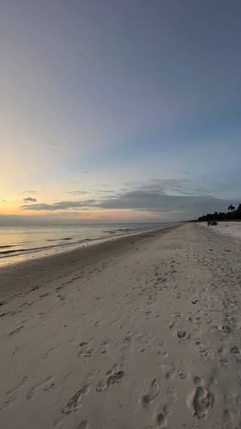 istock BEAUTY ON THE BEACH AFTER SUNSET 1427067134