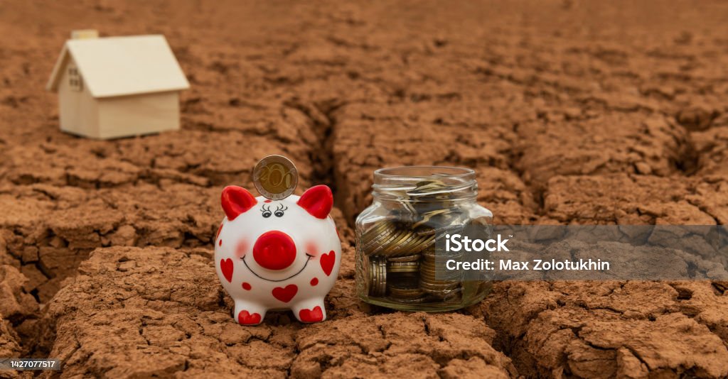 Piggy bank and Kazakh coins of denominations of 100 and 200 tenge against the background of dry cracked clay in the desert Accidents and Disasters Stock Photo