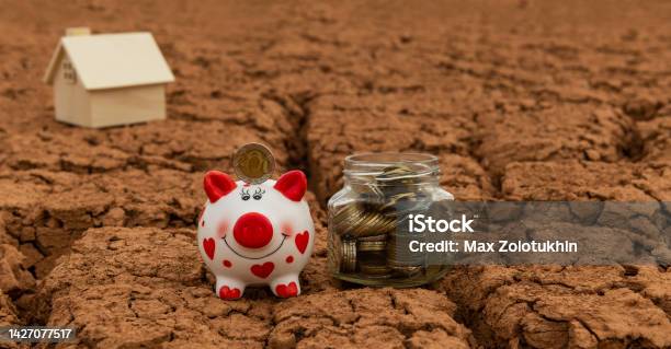 Piggy Bank And Kazakh Coins Of Denominations Of 100 And 200 Tenge Against The Background Of Dry Cracked Clay In The Desert Stock Photo - Download Image Now