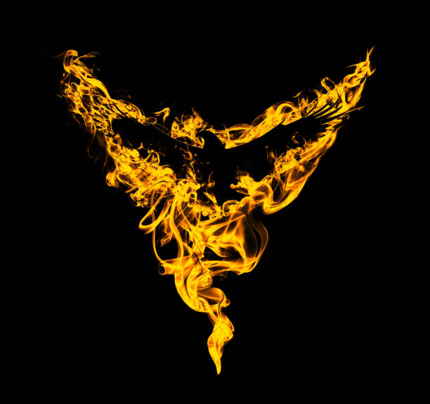 istock Silhouette of a flying eagle with spread wings in beautiful flames, isolated on a black background. Silhouette of a flying eagle on fire. Big large size. 1427084354