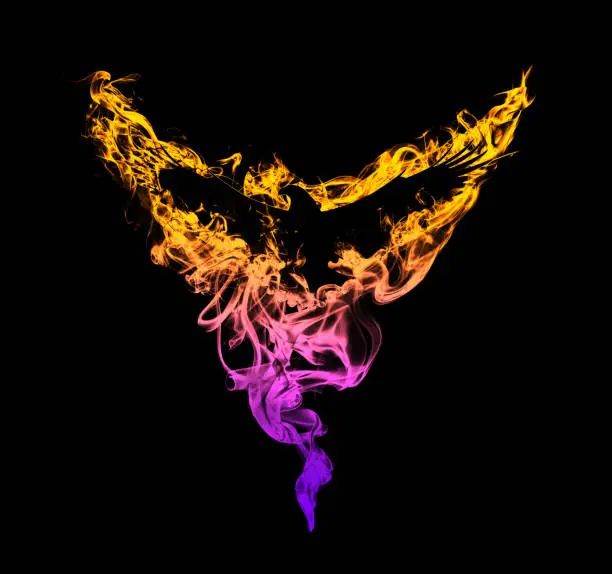 Photo of Silhouette of a flying eagle with spread wings in flames, isolated on a black background. Silhouette of a flying eagle on fire with a beautiful gradient. Big size.