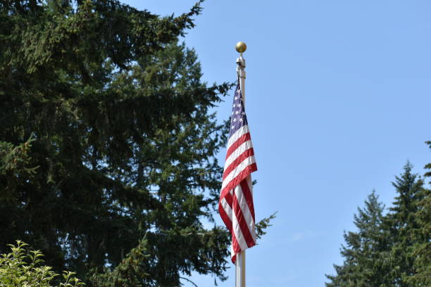istock American flag on pole no wind 1427085283