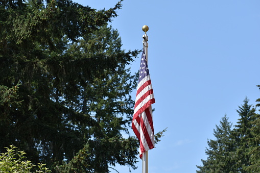 American flag on pole no wind