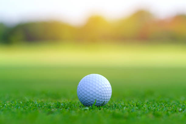 istock Golf ball on green grass ready to be struck on golf course 1427093054