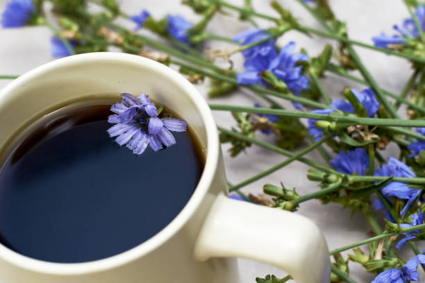 istock chicory drink and floating chicory flower in a coffee mug next to chicory flowers 1427115446