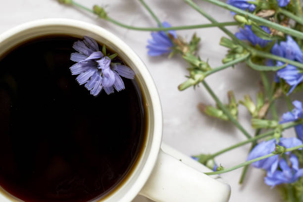istock chicory drink and floating chicory flower in a coffee mug next to chicory flowers 1427115611