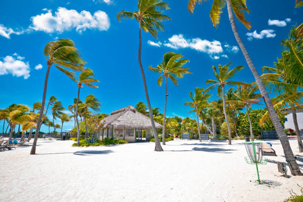 istock Idyllic white sand beach in Islamorada on Florida Keys 1427122984