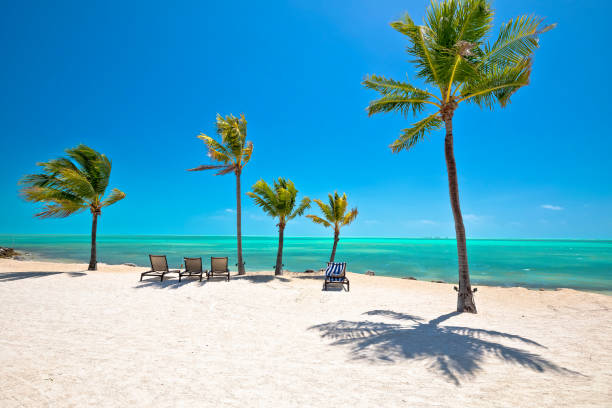 Idyllic white sand beach in Islamorada on Florida Keys Idyllic white sand beach in Islamorada on Florida Keys, Florida stare of USA miami marathon stock pictures, royalty-free photos & images