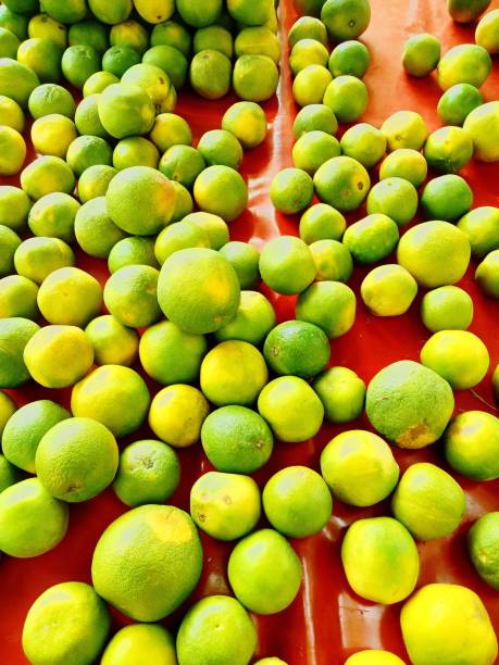 green fruits mausami - 12007 imagens e fotografias de stock