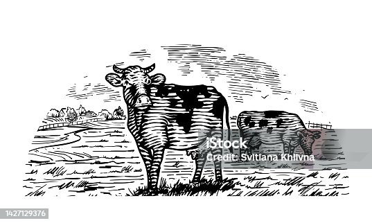 istock Village landscape with cows in rural meadow 1427129376