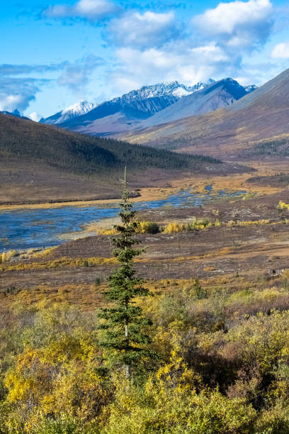 istock Yukon in Canada, wild landscape 1427130797